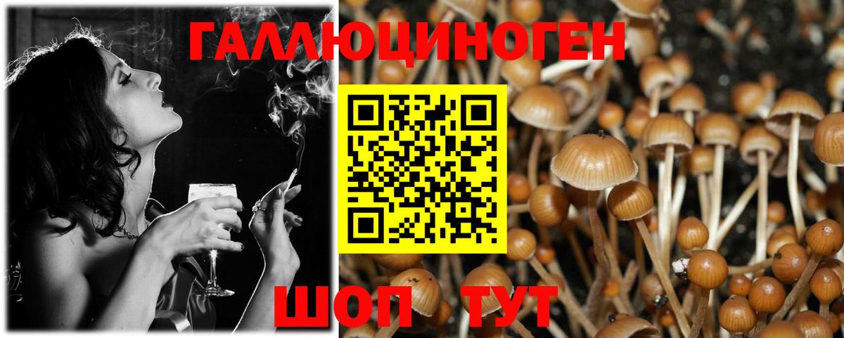 Шали  Галлюциногенные грибы GOLDEN TEACHER  Вход с VPN  Псилоцибиновые грибы ЛСД 